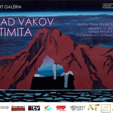 VLAD VAKOV